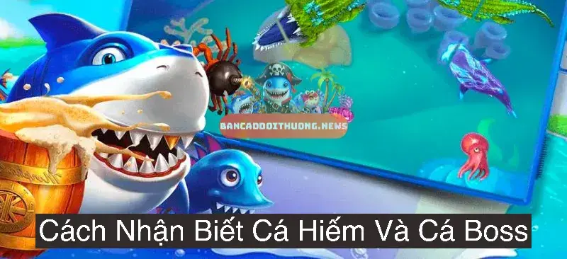 Cách Nhận Biết Cá Hiếm Và Cá Boss trong game bắn cá đổi thưởng 2 Đặc điểm về hình dạng và màu sắc của cá hiếm
